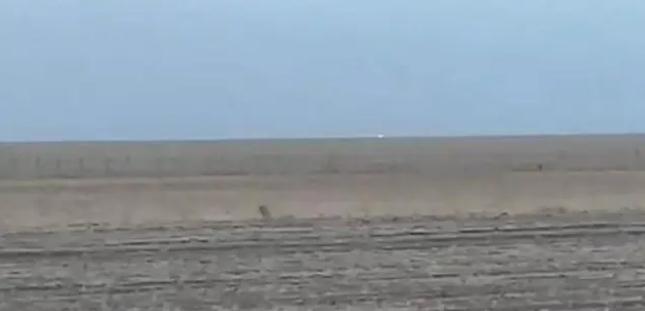 中蒙邊境線明火已被撲滅，為什么蒙古那么容易發生草原火災？