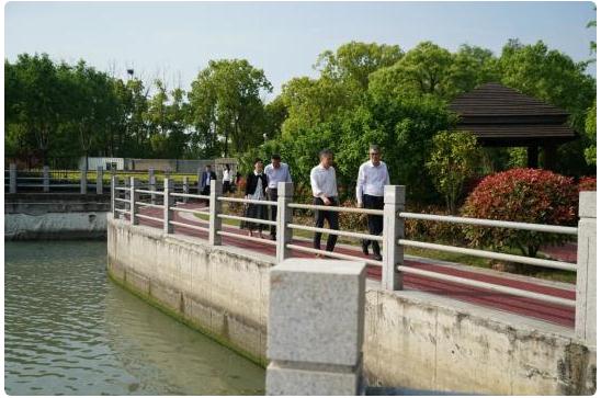 防汛備汛工作 | 青浦區(qū)領(lǐng)導帶隊開展防汛檢查