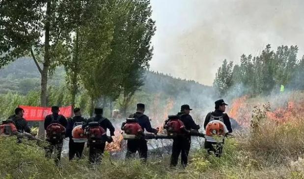 市中區(qū)稅郭鎮(zhèn)|&ldquo;四大舉措&rdquo;打出一套森林防火&ldquo;組合拳&rdquo;